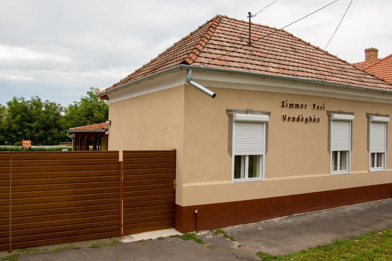 Hotel Zimmer Feri Vendégház Abaújszántó Exterior foto